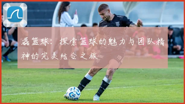 磊篮球：探索篮球的魅力与团队精神的完美结合之旅