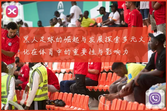 黑人足球的崛起与发展探索多元文化在体育中的重要性与影响力