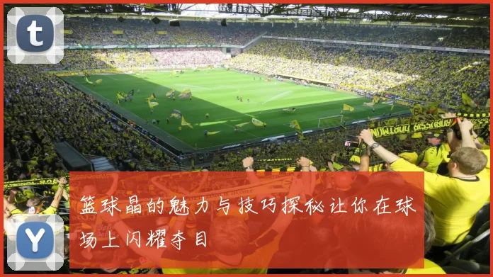 篮球晶的魅力与技巧探秘让你在球场上闪耀夺目