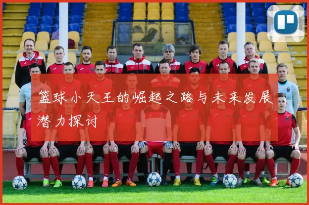 篮球小天王的崛起之路与未来发展潜力探讨